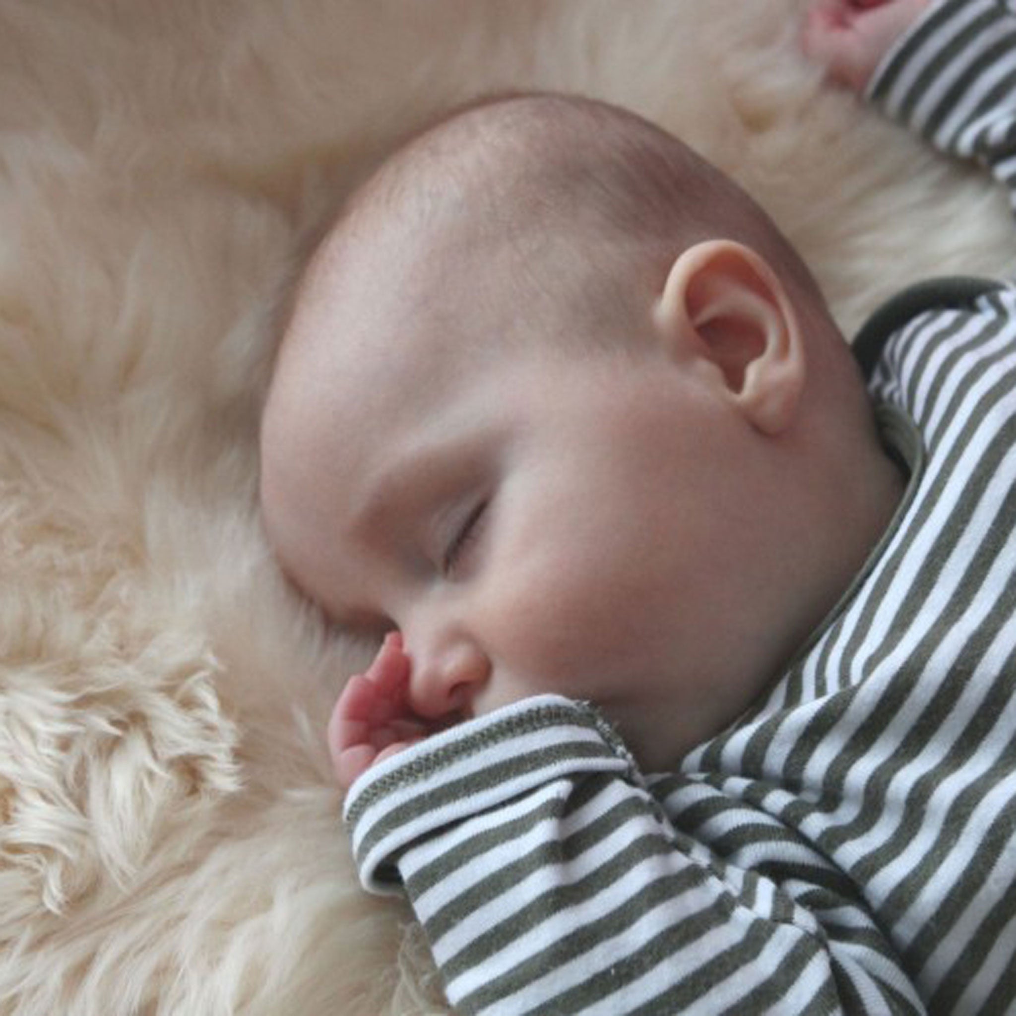 Sheepskin And Babies: What You Need To Know